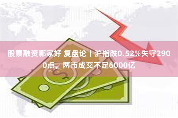 股票融资哪家好 复盘论丨沪指跌0.52%失守2900点，两市成交不足6000亿