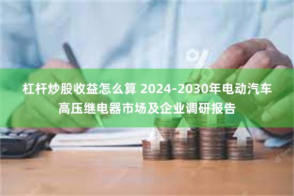 杠杆炒股收益怎么算 2024-2030年电动汽车高压继电器市场及企业调研报告