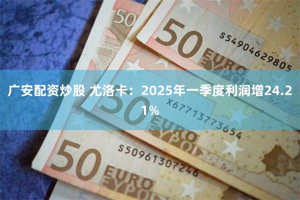 广安配资炒股 尤洛卡：2025年一季度利润增24.21%