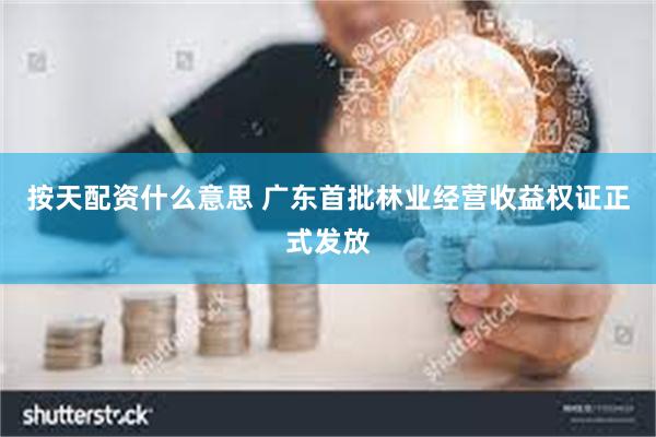 按天配资什么意思 广东首批林业经营收益权证正式发放