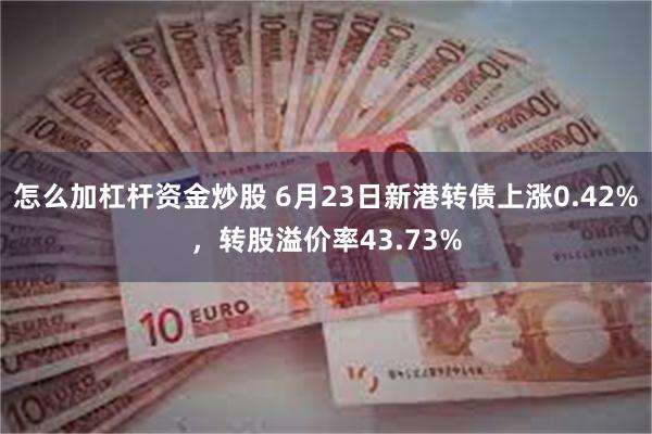 怎么加杠杆资金炒股 6月23日新港转债上涨0.42%，转股溢价率43.73%