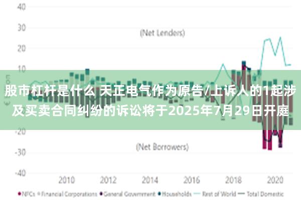 股市杠杆是什么 天正电气作为原告/上诉人的1起涉及买卖合同纠纷的诉讼将于2025年7月29日开庭