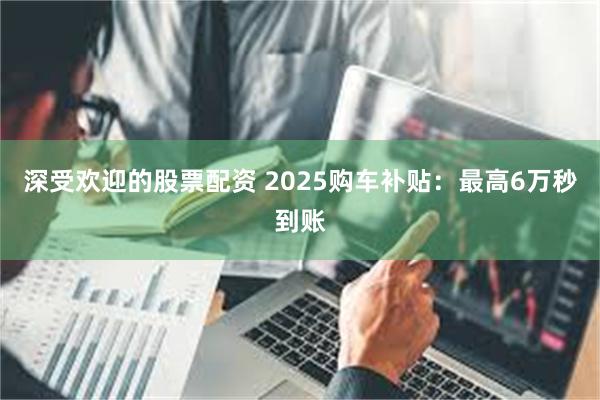 深受欢迎的股票配资 2025购车补贴：最高6万秒到账